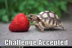 challenge accepted